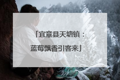 宜章县天塘镇：蓝莓飘香引客来