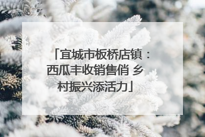 宜城市板桥店镇：西瓜丰收销售俏 乡村振兴添活力