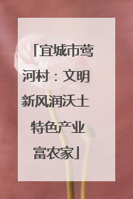 宜城市莺河村：文明新风润沃土 特色产业富农家