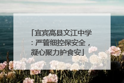 宜宾高县文江中学：严管细控保安全，凝心聚力护食安