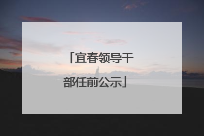 宜春领导干部任前公示