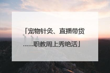 宠物针灸、直播带货……职教周上秀绝活