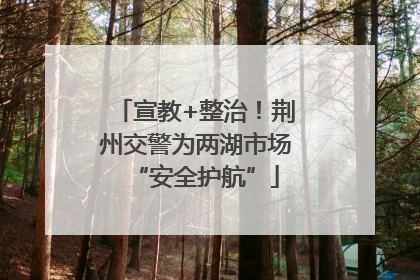 宣教+整治！荆州交警为两湖市场“安全护航”