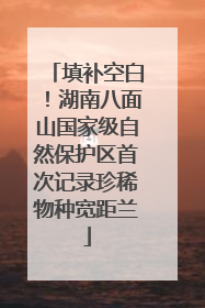 填补空白！湖南八面山国家级自然保护区首次记录珍稀物种宽距兰
