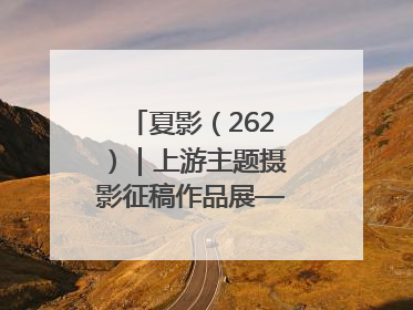 夏影（262）｜上游主题摄影征稿作品展——黄红专作品