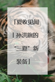 夏收见闻丨孙洪旗的“三夏”新装备
