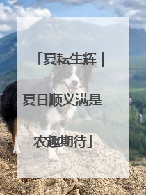 夏耘生辉｜夏日顺义满是农趣期待