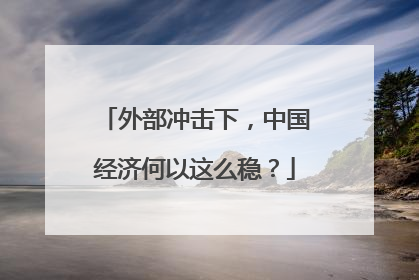 外部冲击下，中国经济何以这么稳？