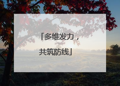 多维发力，共筑防线