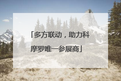 多方联动，助力科摩罗唯一参展商