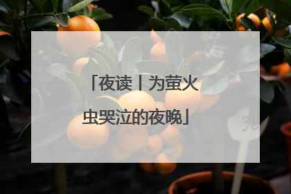 夜读丨为萤火虫哭泣的夜晚