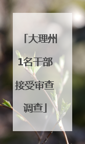 大理州1名干部接受审查调查