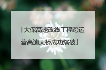 大保高速改线工程跨运营高速天桥成功爆破