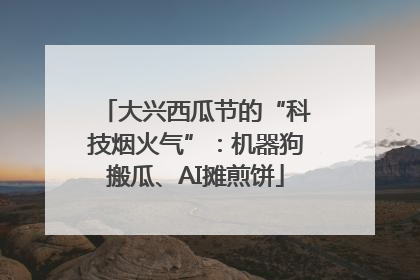大兴西瓜节的“科技烟火气”：机器狗搬瓜、AI摊煎饼