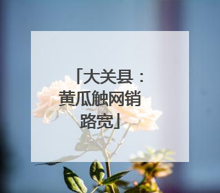 大关县：黄瓜触网销路宽