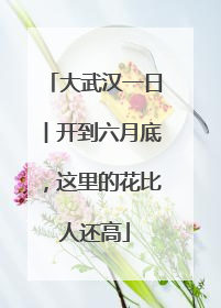 大武汉一日︱开到六月底，这里的花比人还高