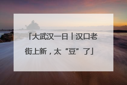 大武汉一日︱汉口老街上新，太“豆”了
