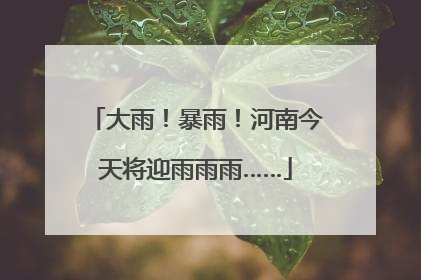 大雨！暴雨！河南今天将迎雨雨雨……