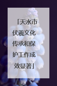 天水市伏羲文化传承和保护工作成效显著
