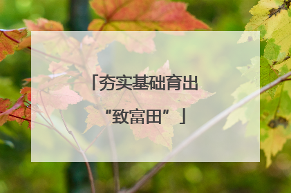 夯实基础育出“致富田”
