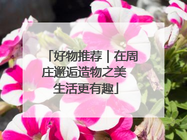 好物推荐｜在周庄邂逅造物之美 生活更有趣