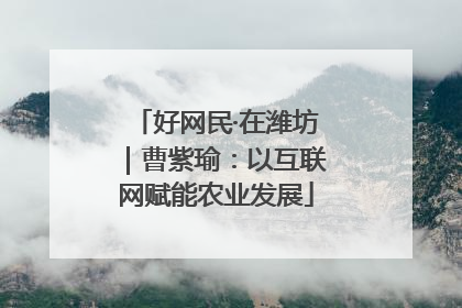 好网民·在潍坊｜曹紫瑜：以互联网赋能农业发展