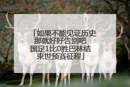 如果不能见证历史 那就好好告别吧 国足1比0胜巴林结束世预赛征程