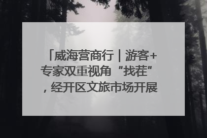 威海营商行｜游客+专家双重视角“找茬”，经开区文旅市场开展暑期前“体检”