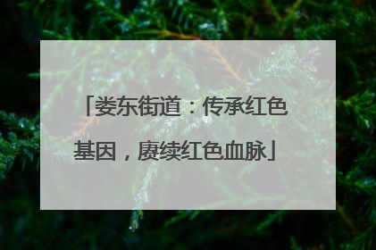 娄东街道：传承红色基因，赓续红色血脉