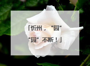 忻州，“园”“园”不断！