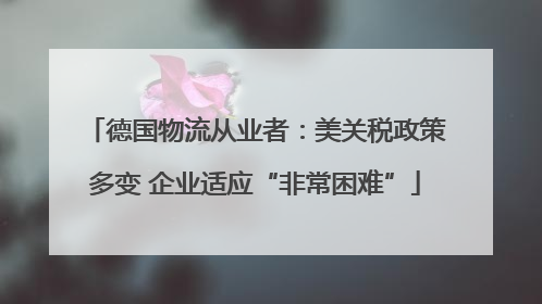 德国物流从业者：美关税政策多变 企业适应“非常困难”