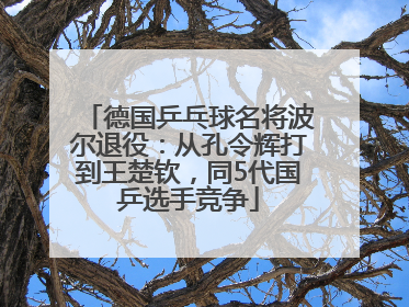 德国乒乓球名将波尔退役：从孔令辉打到王楚钦，同5代国乒选手竞争