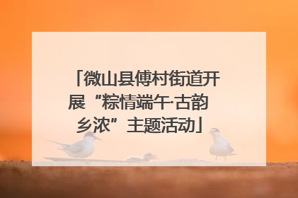 微山县傅村街道开展“粽情端午·古韵乡浓”主题活动