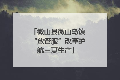 微山县微山岛镇“放管服”改革护航三夏生产