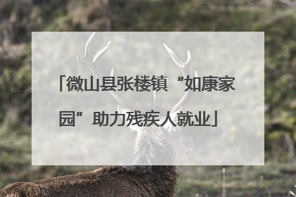 微山县张楼镇“如康家园”助力残疾人就业