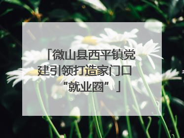 微山县西平镇党建引领打造家门口“就业圈”