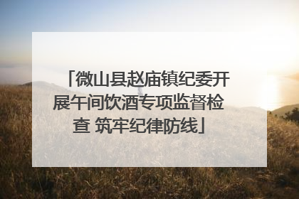 微山县赵庙镇纪委开展午间饮酒专项监督检查 筑牢纪律防线