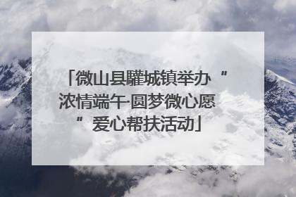 微山县驩城镇举办“浓情端午·圆梦微心愿”爱心帮扶活动