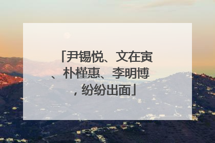 尹锡悦、文在寅、朴槿惠、李明博，纷纷出面