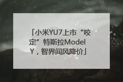 小米YU7上市“咬定”特斯拉Model Y，智界闻风降价