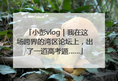 小彭vlog｜我在这场跨界的湾区论坛上，出了一道高考题……