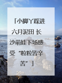 小脚丫踩进六月泥田 长沙萌娃下场感受“粒粒皆辛苦”