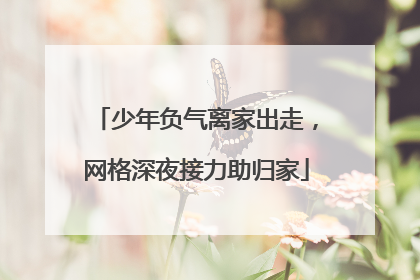 少年负气离家出走，网格深夜接力助归家