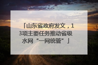 山东省政府发文，13项主要任务推动省级水网“一网统管”
