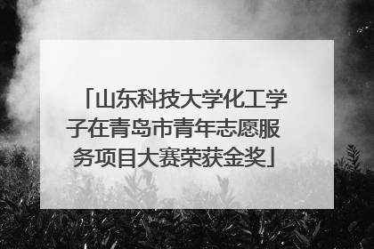 山东科技大学化工学子在青岛市青年志愿服务项目大赛荣获金奖