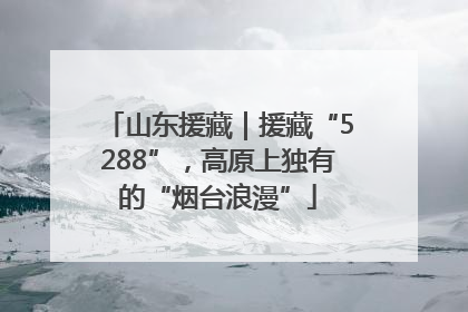 山东援藏｜援藏“5288”，高原上独有的“烟台浪漫”