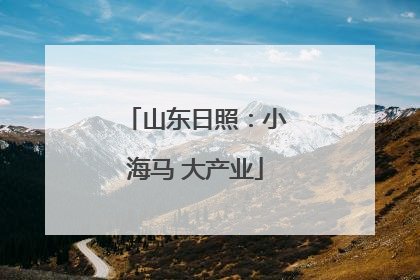 山东日照：小海马 大产业