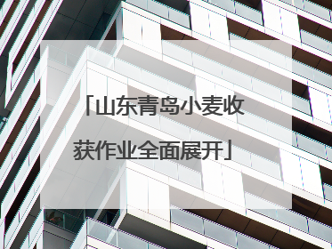 山东青岛小麦收获作业全面展开