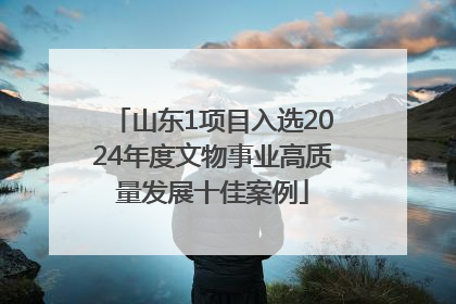 山东1项目入选2024年度文物事业高质量发展十佳案例