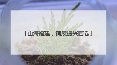 山海福建，铺展振兴画卷